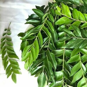 Karapincha Fresh Frozen